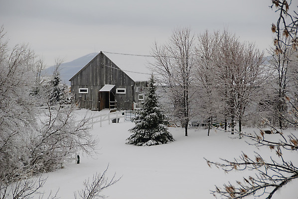 포토 JPG 해외이미지 나무 구름 계절 겨울 밭 자연 풍경 사람없음 농장 추위 흰색 시골 숲 해외202004 해외포토 자연요소 식물 컬러 농업 생태계 파일형식 이미지허브
