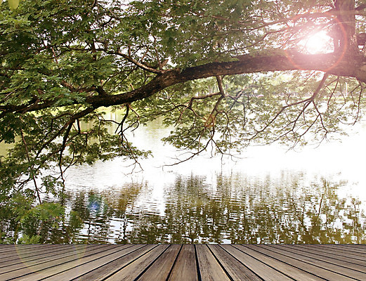 포토 JPG 해외이미지 나무 식물 디자인 공원 호수 물결 파도 바다 백그라운드 잎 꽃무늬 자연 벽지 표면 추상 새로움 프레임 건강 잔디 사람없음 야외 목재 초록색 물 빛 강 햇빛 태양 반사 환경 정원 맑음 봄 젖음 성장 나뭇가지 신선 액체 숲 유기농 질감 내추럴 생태학 해외202004 해외포토 자연요소 웰빙 계절 공공시설 교육 꽃 컬러 컨셉 무늬 재료 날씨 생태계 파일형식 이미지허브