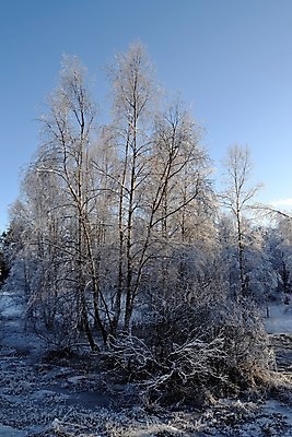 포토 JPG 해외이미지 겨울 사람없음 추위 해외202004 해외포토 계절 파일형식 이미지허브