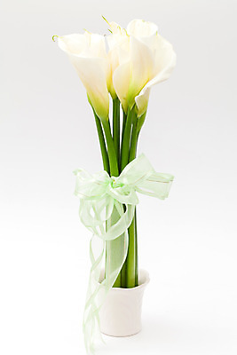 포토 JPG 해외이미지 식물 꽃잎 꽃 리본 길 꽃다발 백그라운드 잎 꽃무늬 자연 발렌타인데이 선물 사랑 씨앗 사람없음 장식 초록색 컬러풀 꽃병 벚꽃 흰색 신선 원형 우아함 혼합 배열 묘사 질감 내추럴 고립 해외202004 해외포토 도형 감정 컬러 컨셉 무늬 데이이벤트 생태계 파일형식 이미지허브