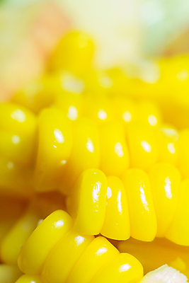 포토 JPG 해외이미지 접시 음식 다이어트 채소 재료 건강 옥수수 사람없음 가로 초록색 여름 노란색 식당 식사 저녁식사 당근 샐러드 신선 닫기 선택 맛 상추 참치 먹기 허브 유기농 올리브 양배추 날것 소금 칼로리 후추 내추럴 점심식사 단백질 섞기 숙성 채식주의자 해외202004 해외포토 식물 식기 웰빙 계절 열매 컬러 컨셉 모션 곡류 뿌리채소 어류 상점 향신료 채식 영양소 파일형식 이미지허브