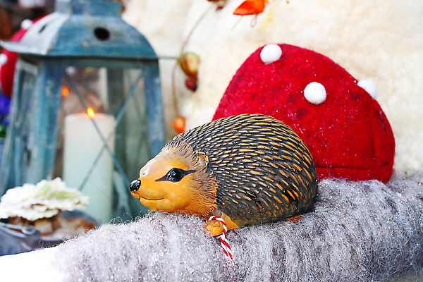 포토 JPG 해외이미지 꽃 유럽 도로 가구 벤치 의자 유리 탁자 호텔 거리 주택 기념 털 사람없음 야외 목재 장식 파티 여행객 요식업 식당 꽃병 식사 카페 가을 등불 축하 도시 화려 고급 우아함 먹기 양동이 서비스 네덜란드 설정 고슴도치 점심식사 옛날 해외202004 해외포토 나무 식물 계절 나라 산업 길 생활용품 컨셉 재료 포유류 교통시설 모션 재질 숙소 조명 사람 이벤트 건물 상점 파일형식 이미지허브