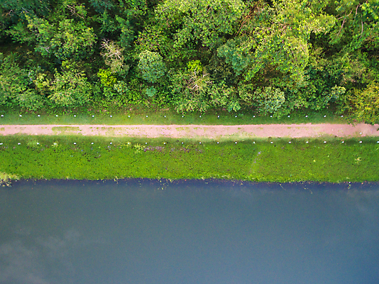 포토 JPG 해외이미지 나무 식물 계절 공원 백그라운드 밭 자연 아침 산 안테나 풍경 잔디 사람없음 야외 초록색 여름 노란색 우주 환경 정원 봄 가을 정상 숲 땅 질감 내추럴 드론 해외202004 해외포토 주간 공공시설 컬러 농업 통신 생태계 파일형식 이미지허브