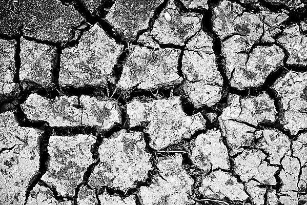 포토 JPG 해외이미지 식물 지구 조각 백그라운드 패턴 일러스트 자연 벽지 표면 날씨 추상 건조 풍경 사람없음 야외 그래픽 글로벌 환경 검은색 어둠 손상 사막 흰색 죽음 뜨거움 균열 땅 질감 찢어짐 다리찢기 내추럴 그런지 깨짐 땅바닥 재앙 지진 지질학 효과 해외202004 해외포토 교육 컬러 컨셉 무늬 모션 바닥 자연재해 생태계 파일형식 이미지허브