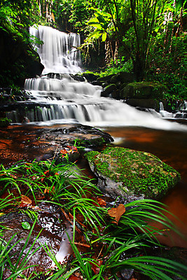 포토 JPG 해외이미지 나무 식물 여행 잎 모션 태국 자연 국립공원 이끼 풍경 사람없음 세로 초록색 물 강 폭포 기쁨 흐름 가을 바위 신선 투명 개울 숲 에메랄드 부드러움 내추럴 현재 해외202004 해외포토 자연요소 계절 공원 감정 아시아 컬러 컨셉 돌_바위 감각 보석 생태계 파일형식 이미지허브