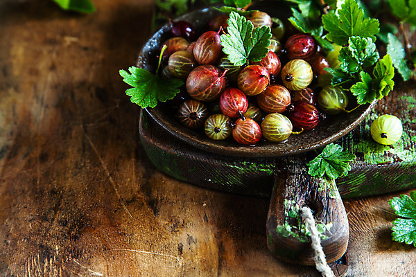 포토 JPG 해외이미지 접시 열매 음식 백그라운드 잎 과일 자연 탁자 건강 사람없음 목재 초록색 정원 수확 신선 도자기 그룹 사발 달콤 맛 유기농 날것 내추럴 구스베리 숙성 채식주의자 해외202004 해외포토 나무 식물 식기 웰빙 컬러 가구 컨셉 농업 재료 사기그릇 생태계 채식 파일형식 이미지허브