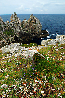 포토 JPG 해외이미지 꽃 유럽 파도 바다 여행 자연 휴가 풍경 사람없음 여름 절벽 들꽃 프랑스 서핑 황무지 암초 북쪽 대서양 내추럴 서쪽 울퉁불퉁 화강암 수평선 해외202004 해외포토 식물 계절 나라 암석 수상스포츠 방향 생태계 파일형식 이미지허브