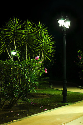 포토 JPG 해외이미지 나무 계절 공원 길 백그라운드 잎 가로등 벤치 자연 조명 거리 그림자 풍경 사람없음 야외 목재 초록색 빛 반사 노란색 평화 정원 검은색 어둠 침묵 가을 나뭇가지 등불 램프 도시 야간 저녁 싱글 장면 빛망울 내추럴 해외202004 해외포토 자연요소 식물 공공시설 컬러 컨셉 의자 재료 소리 생태계 파일형식 이미지허브