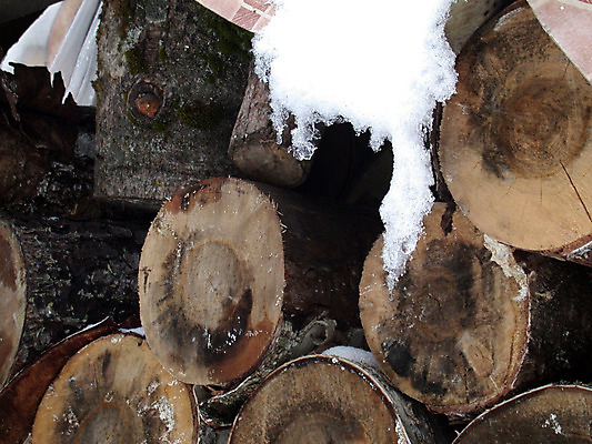 포토 JPG 해외이미지 계절 겨울 사람없음 목재 갈색 흰색 오브젝트 통나무 해외202004 해외포토 나무 컬러 재료 파일형식 이미지허브