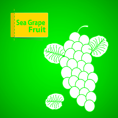 JPG EPS 해외이미지 아이콘 라이프스타일 디자인 음식 조각 스티커 오렌지 일러스트 자연 딸기 포도 수박 건조 바나나 건강 사람없음 초록색 여름 라벨 정원 주스 수확 신선 체리 시장 달콤 맛 사과 만화 레몬 파인애플 그림 클립 산딸기 망고 고립 배려 살구 숙성 채식주의자 비건 해외202004 해외일러스트 해외포토 포토 계절 음료 컬러 컨셉 농업 과일 프레임 생활 열대과일 생태계 채식 파일형식 벡터 이미지허브