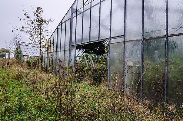 포토 JPG 해외이미지 벽 건축양식 창문 주택 이야기 사람없음 건물 탐험 역사 빌라 천연기념물 발견 떠남 무인 옛날 파멸 해외202004 해외포토 건축물 건축 컨셉 모션 파일형식 소멸 이미지허브