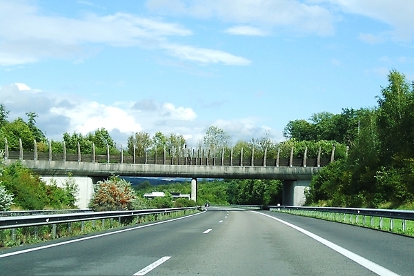 포토 JPG 해외이미지 사람없음 해외202004 해외포토 파일형식 이미지허브