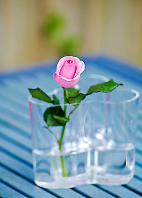 포토 JPG 해외이미지 꽃 분홍색 백그라운드 꽃무늬 자연 유리 탁자 발렌타인데이 선물 사랑 사람없음 빨간색 초록색 파란색 빛 장미 정원 꽃병 놀람 봄 축하 신선 달콤 만족 보케 향기 초대 부드러움 해외202004 해외포토 식물 계절 감정 컬러 가구 컨셉 무늬 데이이벤트 재질 표정 감각 맛 생태계 냄새 파일형식 이미지허브