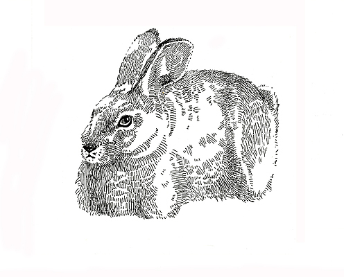 포토 JPG 해외이미지 동물 1 응시 계절 포즈 일러스트 포유류 휴가 부활절 생물 털 따뜻함 미술 서기 앉기 사람없음 반려동물 펜 갈색 듣기 아기 토끼 관찰 달콤 설치류 작음 모피 가득함 사인 호기심 그림 꼬리 귀 부드러움 솜털 고립 기르기 해외202004 해외포토 시선 기념일 감정 컬러 컨셉 모션 문화예술 사람 신체부위 필기구 감각 맛 크기 돌봄 파일형식 이미지허브