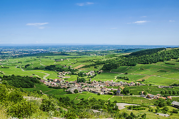 포토 JPG 해외이미지 산업 백그라운드 농업 건축양식 풍경 사람없음 야외 농경지 마을 와인 프랑스 시골 포도밭 타운 옛날 해외202004 해외포토 건축 유럽 밭 주류 농장 도시 파일형식 이미지허브