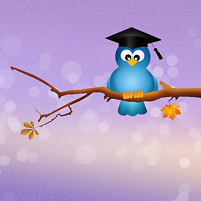 JPG 해외이미지 교육 일러스트 학사모 졸업 조류 사람없음 나뭇가지 해외202004 해외일러스트 나무 동물 모자_잡화 파일형식 이미지허브
