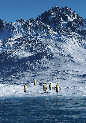 포토 JPG 해외이미지 동물 구름 호수 파도 바다 겨울 일러스트 자연 하늘 산 풍경 사람없음 야외 물 파란색 반사 3D 환경 냉동 얼음 추위 바위 흰색 황무지 남극 북극 펭귄 서리 내추럴 절정 해외202004 해외포토 자연요소 계절 컬러 조류 돌_바위 극지방 디지털합성 생태계 파일형식 이미지허브