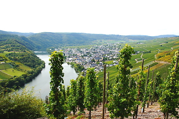 포토 JPG 해외이미지 사람없음 해외202004 해외포토 파일형식 이미지허브