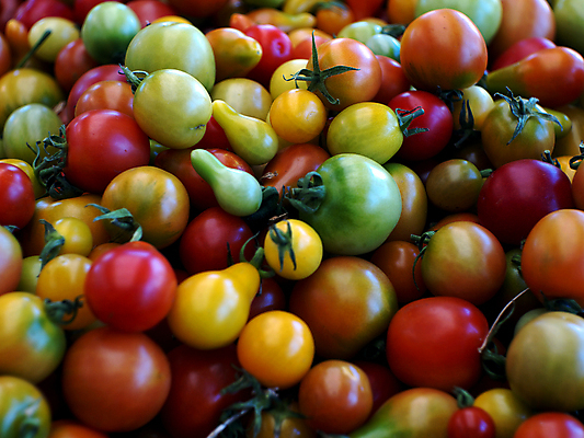 포토 JPG 해외이미지 식물 음식 백그라운드 다이어트 토마토 채소 과일 재료 파스타 건강 요리 사람없음 빨간색 초록색 빛 식당 정원 식사 저녁식사 이탈리아 샐러드 흰색 신선 맛 상추 먹기 유기농 날것 포도나무 성분 내추럴 점심식사 고립 숙성 채식주의자 해외202004 해외포토 웰빙 유럽 컬러 컨셉 모션 서양음식 상점 과일나무 채식 파일형식 이미지허브