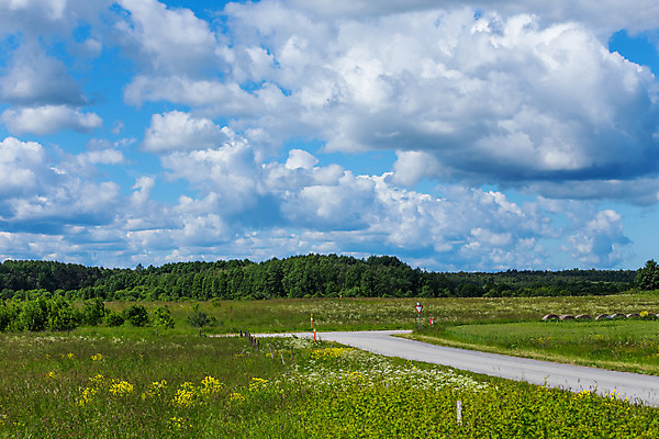 포토 JPG 해외이미지 나무 식물 구름 계절 공원 꽃 백그라운드 밭 가족 자연 벽지 하늘 휴가 따뜻함 파노라마 풍경 사람없음 야외 목재 초록색 여름 파란색 컬러풀 태양 노란색 평화 우주 환경 맑음 봄 흰색 시골 오픈 고독 민들레 땅 언덕 꽃가루 주말 천국 솜털 에스토니아 수평선 해외202004 해외포토 자연요소 공공시설 감정 유럽 컬러 컨셉 농업 재료 관계 날씨 촬영기법 가루 생태계 파일형식 이미지허브