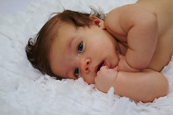 포토 JPG 해외이미지 백인 1 손 응시 행복 얼굴 어린이 새로움 건강 한명 웃음 사람 소년 파란색 기쁨 흰색 침대 표현 아기 신생아 달콤 작음 부드러움 거짓말 걸음마 결백 고립 돌봄 천진난만 해외202004 해외포토 서양인 시선 남자 감정 컬러 가구 컨셉 모션 표정 신체부위 감각 맛 크기 파일형식 이미지허브