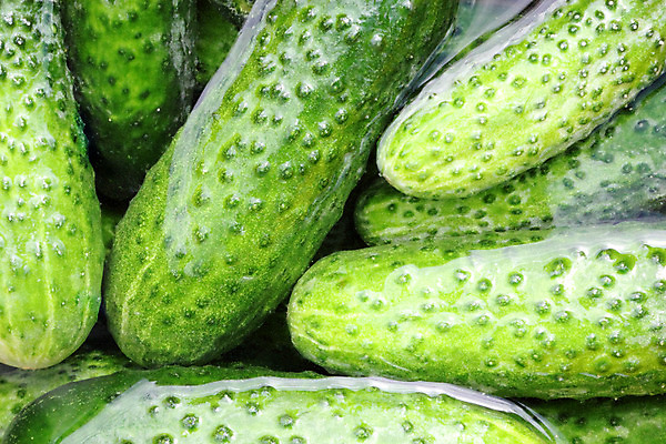 포토 JPG 해외이미지 직업 계절 음식 백그라운드 밭 농업 채소 재료 자연 오이 건강 종류 취미 사람없음 야외 초록색 물 여름 농작물 햇빛 농장 정원 모임 수확 성장 시골 신선 잡기 그룹 선택 유기농 원예 날것 내추럴 밭일 숙성 채식주의자 해외202004 해외포토 자연요소 웰빙 산업 컬러 컨셉 모션 태양 생태계 채식 파일형식 이미지허브