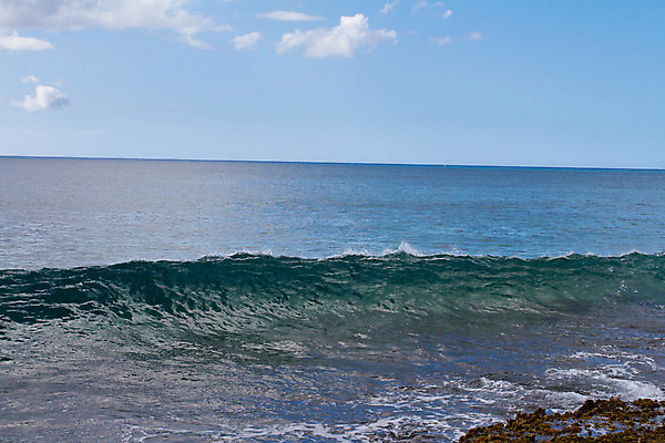 포토 JPG 해외이미지 주간 파도 바다 날씨 사람없음 초록색 물 파란색 활발 서핑 위험 큼 하와이 태평양 폭풍 격파 단절 파이프라인 폭풍우 하와이인 해외202004 해외포토 자연요소 외국인 컬러 컨셉 모션 미국 수상스포츠 비_날씨 크기 자연재해 파이프_관 파일형식 이미지허브