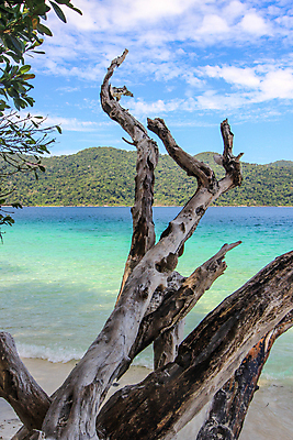 포토 JPG 해외이미지 주간 나무 구름 모래 파도 바다 섬 잎 태국 하늘 휴가 산 파노라마 그림자 사람없음 목재 초록색 물 여름 파란색 컬러풀 햇빛 반사 활발 바위 신선 그늘 질감 스카이라인 마디 강렬 깊이 수목 수평선 해외202004 해외포토 자연요소 식물 계절 아시아 컬러 컨셉 재료 촬영기법 태양 돌_바위 파일형식 이미지허브