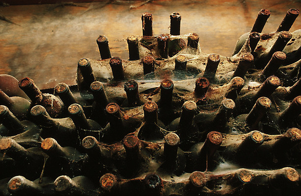 포토 JPG 해외이미지 음료 음식 사람없음 시간 컨테이너 거미줄 옛날 해외202004 해외포토 산업 파일형식 이미지허브