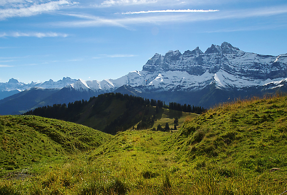 포토 JPG 해외이미지 나무 공원 호수 섬 여행 자연 하늘 휴가 산 풍경 사람없음 야외 초록색 여름 계곡 맑음 산책 트래킹 하이킹 숲 큼 뉴질랜드 통과 안장 남쪽 전국 절정 해외202004 해외포토 식물 계절 공공시설 컬러 레저 날씨 휴식 오세아니아 크기 방향 생태계 파일형식 이미지허브