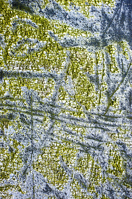 포토 JPG 해외이미지 선 벽 백그라운드 추상 이끼 미술 사람없음 세로 초록색 파란색 공백 회색 거친 은박지 그림 질감 옛날 재고정리 해외202004 해외포토 컬러 무늬 문화예술 파일형식 이미지허브