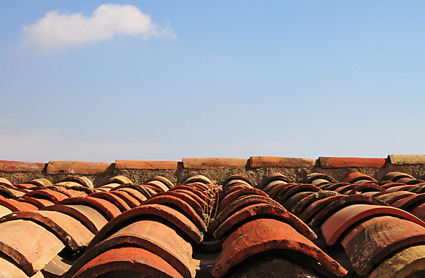 포토 JPG 해외이미지 백그라운드 지붕 이끼 사람없음 빨간색 갈색 회색 골동품 중세 중앙 타일 옛날 해외202004 해외포토 컬러 역사 파일형식 이미지허브