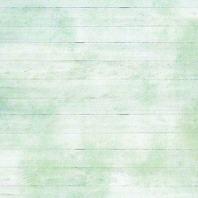 포토 JPG 해외이미지 디자인 꽃 벽 결혼 백그라운드 탁자 표면 바닥 서브 사람없음 목재 장식 초록색 봄 수확 흰색 시골 널 민트 질감 복고 장면 스크래치 내추럴 그런지 수목 옛날 파스텔톤 세련 해외202004 해외포토 나무 식물 계절 컬러 가구 농업 재료 이벤트 허브 파일형식 이미지허브