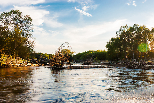 포토 JPG 해외이미지 나무 구름 야생동물 백그라운드 잎 곡선 하늘 풍경 사람없음 가로 초록색 물 파란색 강 일출 환경 일몰 새벽 흐름 추위 안개 가을 저녁 숲 땅 북극 러시아 지역 해외202004 해외포토 자연요소 식물 동물 계절 유럽 선 컬러 컨셉 날씨 노을 야간 극지방 파일형식 이미지허브