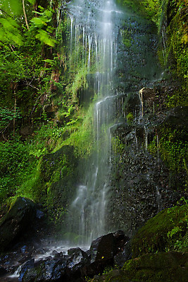 포토 JPG 해외이미지 영어 휴가 영국 잉글랜드 이끼 사람없음 물 관광지 강 폭포 캠핑 젖음 흐름 안개 동굴 떨어짐 암초 방문 감탄 양치류 해외202004 해외포토 자연요소 문자 유럽 여행 컨셉 자연 레저 날씨 파일형식 이미지허브