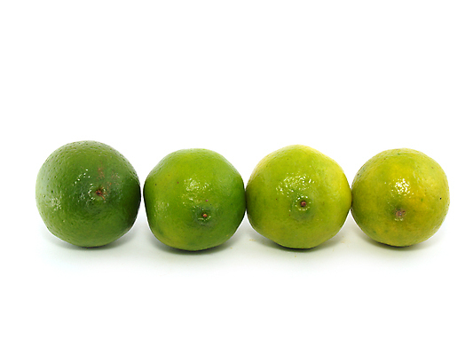 포토 JPG 해외이미지 라이프스타일 음료 음식 조각 과일 재료 부분 자연 귤 실내 건강 요리 사람없음 초록색 식사 주스 흰색 신선 원형 양념 우아함 달콤 맛 아침식사 자르기 먹기 상쾌 유기농 각도 서빙 라임 슈퍼마켓 내추럴 숙성 신맛 타르트 해외202004 해외포토 도형 웰빙 감정 빵 컬러 컨셉 모션 내부 생활 상점 생태계 파이_빵 파일형식 이미지허브