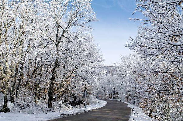포토 JPG 해외이미지 나무 계절 공원 도로 길 겨울 자연 하늘 날씨 풍경 사람없음 야외 파란색 빛 냉동 추위 흰색 나뭇가지 시골 숲 서리 장면 방법 폭설 눈내림 해외202004 해외포토 식물 공공시설 컬러 교통시설 눈_날씨 자연재해 생태계 파일형식 이미지허브