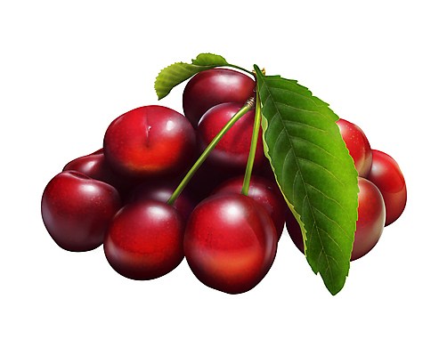 포토 JPG 해외이미지 식물 열매 음식 백그라운드 잎 과일 일러스트 디저트 사람없음 빨간색 초록색 컬러풀 흰색 신선 체리 닫기 달콤 오브젝트 고립 숙성 많음 해외202004 해외포토 컬러 컨셉 모션 맛 파일형식 이미지허브