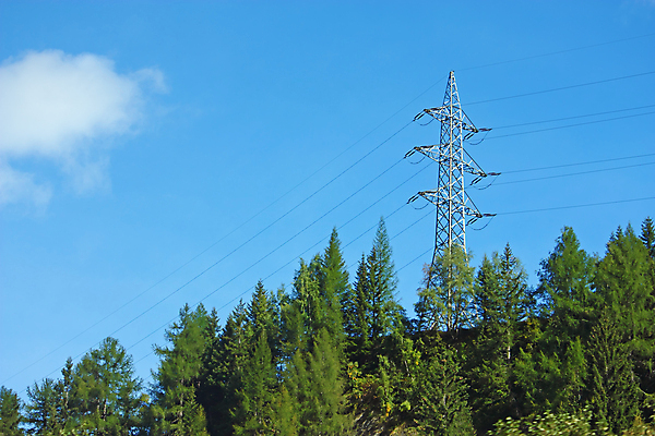 포토 JPG 해외이미지 나무 선 자연 하늘 산 사람없음 목재 초록색 파란색 환경 탑 금속 힘 에너지 네트워크 전염 철사 철탑 전압 철강 공급 해외202004 해외포토 식물 건축물 컬러 재료 재질 질병 생태계 감염 파일형식 이미지허브