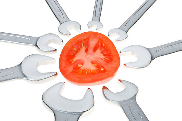 포토 JPG 해외이미지 길 음식 백그라운드 다이어트 토마토 채소 자연 노동자 건강 사람없음 빨간색 금속 정원 검은색 장비 회색 흰색 기구 공구 스패너 신선 업무 수리 맛 자르기 수집 오브젝트 유기농 내추럴 고립 숙성 조작 채식주의자 철강 해외202004 해외포토 직업 웰빙 컬러 컨셉 모션 재질 도구 작업 생태계 채식 파일형식 이미지허브