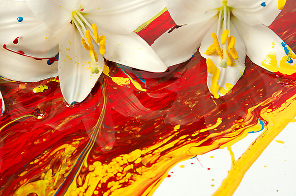 포토 JPG 해외이미지 모양 식물 디자인 교육 꽃잎 꽃 백그라운드 꽃무늬 패턴 추상 아이디어 창조 미술 사람없음 그래픽 장식 빨간색 머리 보라색 페인트 젖음 벚꽃 흰색 그리기 붓기 떨어짐 디자이너 순수 그림 심플 페인트붓 꽃가루 개성 꽃수술 해외202004 해외포토 직업 컬러 컨셉 무늬 모션 문화예술 신체부위 붓 가루 파일형식 이미지허브