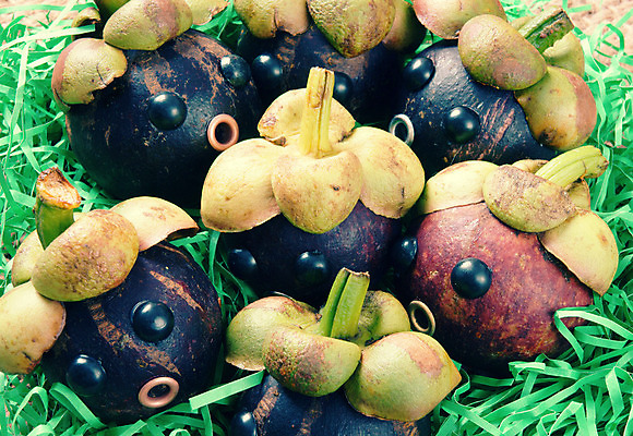 포토 JPG 해외이미지 응시 얼굴 음식 백그라운드 컨셉 과일 추상 아이디어 취미 사람없음 목재 머리 놀람 달력 그룹 무서움 먹기 불안 삼베 고민 걱정 베트남 핸드메이드 해외202004 해외포토 나무 시선 감정 무늬 재료 모션 표정 신체부위 동남아시아 파일형식 천_직물 이미지허브