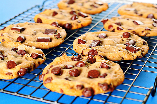 포토 JPG 해외이미지 음식 백그라운드 다이어트 주택 건강 사람없음 파란색 쌓기 쿠키 케이크 초콜릿 흰색 대접 달콤 폐기물 유혹 설탕 굽기 먹기 기아 배고픔 칼로리 나눔 충동구매 욕심 고립 부스러기 신발장 해로움 솔깃 안락 해외202004 해외포토 컬러 컨셉 모션 디저트 건물 쇼핑 맛 쓰레기 구이 사회이슈 과소비 파일형식 이미지허브