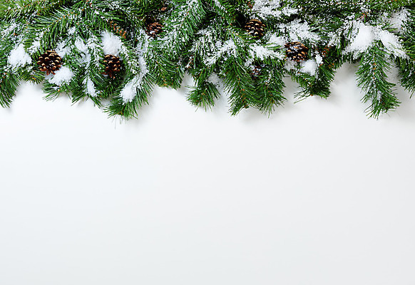 포토 JPG 해외이미지 나무 전통 계절 백그라운드 크리스마스 겨울 자연 휴가 기념 사람없음 장식 초록색 산타클로스 흰색 나뭇가지 오브젝트 솔방울 상록수 전나무 카피스페이스 해외202004 해외포토 식물 기념일 컬러 공백 생태계 파일형식 이미지허브