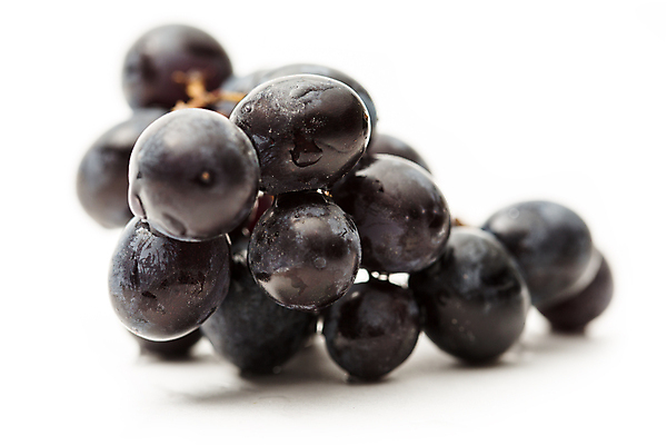 포토 JPG 해외이미지 식물 열매 음식 농업 다이어트 과일 재료 자연 포도 디저트 건강 사람없음 파란색 보라색 검은색 어둠 젖음 흰색 나뭇가지 신선 달콤 맛 떨어짐 다발 오브젝트 싱글 날것 내추럴 고립 숙성 채식주의자 많음 해외202004 해외포토 나무 산업 컬러 컨셉 생태계 채식 파일형식 이미지허브