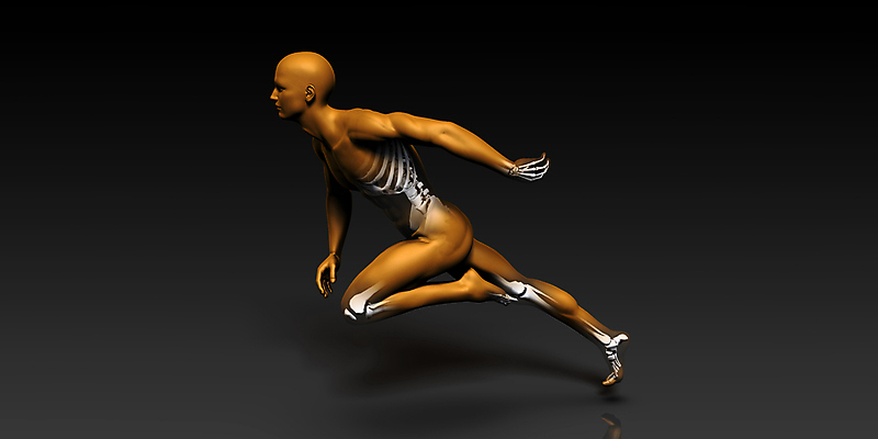 포토 JPG 해외이미지 의학 근육 뼈 건강 사람없음 관절 물리치료 치유 해외202004 해외포토 치료 파일형식 이미지허브