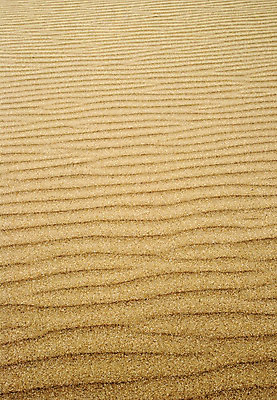 포토 JPG 해외이미지 모래 백그라운드 곡선 자연 벽지 조류 추상 사람없음 여름 모래사장 노란색 황금 질감 작살 잔물결 해외202004 해외포토 동물 계절 물결 선 바다 컬러 무늬 생태계 파일형식 이미지허브