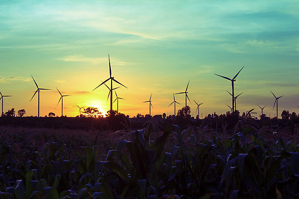 포토 JPG 해외이미지 식물 구름 산업 밭 날개 자연 하늘 바람 파노라마 풍경 사람없음 초록색 파란색 농장 환경 힘 새벽 재활용 풍차 발전기 에너지 흰색 칼날 보호 프로펠러 자원 세대 유지 방앗간 혁명 개발 생태학 공급 해외202004 해외포토 자연요소 교육 컬러 컨셉 농업 날씨 촬영기법 발전소 친환경 생태계 파일형식 이미지허브