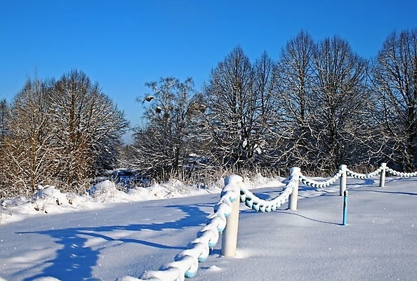 포토 JPG 해외이미지 나무 겨울 밭 하늘 풍경 사람없음 야외 파란색 울타리 얼음 추위 흰색 12월 질감 서리 장면 철사 광택 폴란드 1월 2월 옛날 철강 눈내림 해외202004 해외포토 자연요소 식물 계절 유럽 컬러 농업 눈_날씨 담장 날짜 파일형식 이미지허브