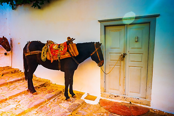 포토 JPG 해외이미지 동물 전통 외관 유럽 바다 섬 여행 건축양식 포유류 교통시설 자동차 하늘 휴가 주택 풍경 사람없음 야외 여름 태양 갈색 여행객 마을 항구 만 보행자 지중해 그리스 휴양지 장면 포트 타운 당나귀 적재 그리스인 해외202004 해외포토 자연요소 서양인 계절 건축 나라 육상교통 컬러 교통 사람 건물 장소 도시 말_동물 시설 파일형식 이미지허브